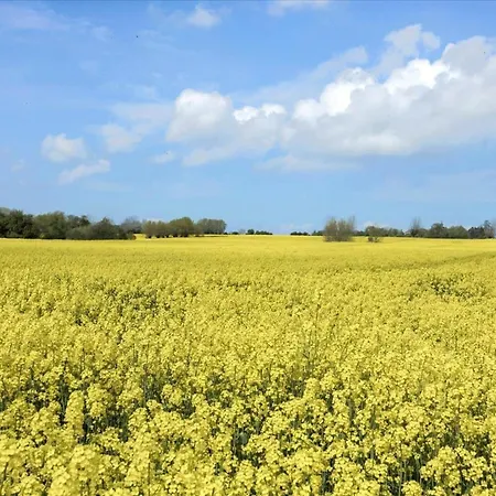 Dom wakacyjny Ae226-aeroskobing-risemarksvej-8 Ærøskøbing