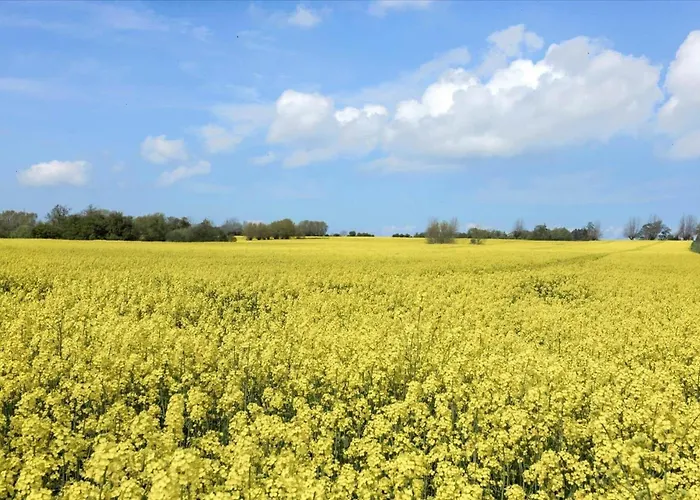 度假居 Ae226-aeroskobing-risemarksvej-8 Ærøskøbing